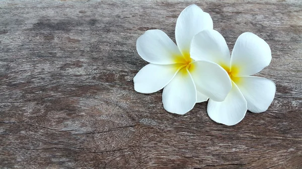 Hermosas flores de plumeria amarillas blancas en mesa de madera — Foto de Stock