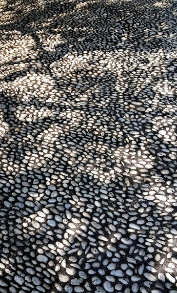 Schatten von Ästen auf Steinboden — Stockfoto