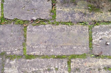 Taş duvar ile yeşil alan. Doku doğa.