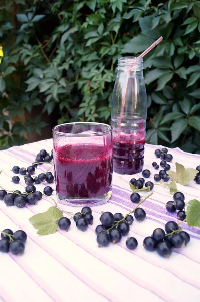 Berry blackcurrant vitamin içeceği, yaz tatlılar kavramı üzerinden sağlıklı güler yüzlü