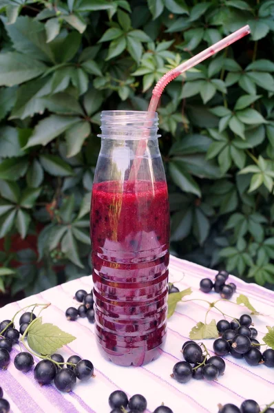 Berry blackcurrant vitamin içeceği, yaz tatlılar kavramı üzerinden sağlıklı güler yüzlü — Stok fotoğraf