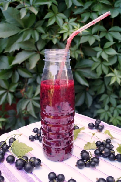 Berry blackcurrant vitamin içeceği, yaz tatlılar kavramı üzerinden sağlıklı güler yüzlü