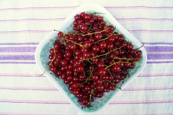 Ahşap masa üzerinde taze kırmızı kuş üzümü — Stok fotoğraf