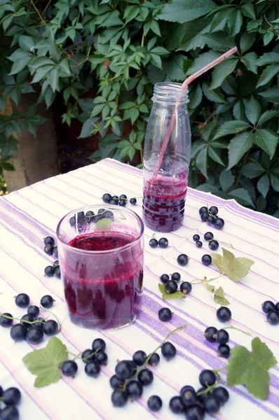 Healthy smoothie from berry of blackcurrant vitamin drink, summer desserts concept — Stock Photo, Image