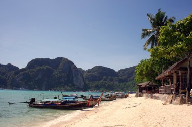 tropik cennet, phi phi don Island, andaman Denizi, Tayland