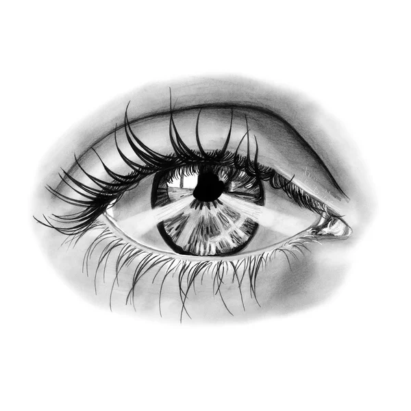 Ojo femenino realista. Lápiz ilustración en blanco y negro — Foto de Stock