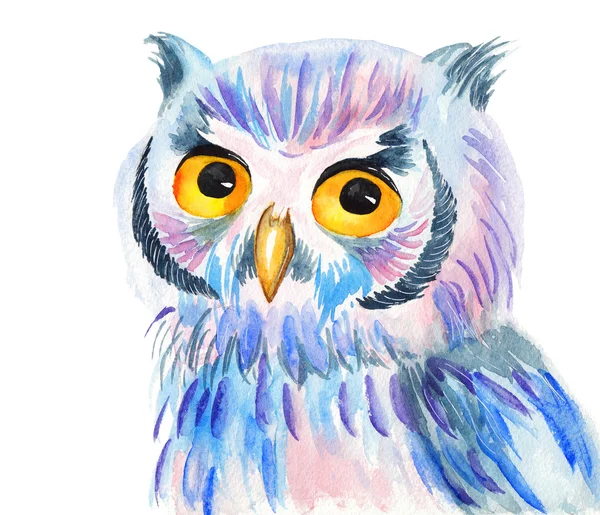 Heldere kleurrijke aquarel illustratie van een uil op witte achtergrond — Stockfoto