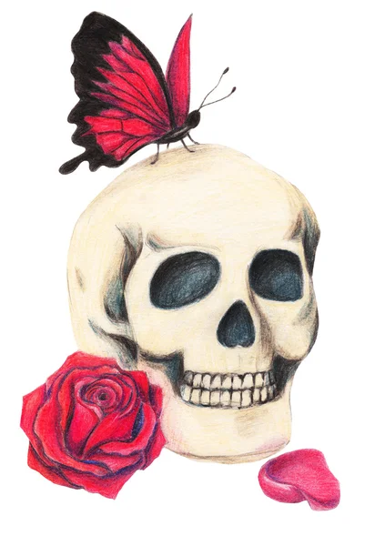 頭蓋骨、赤いバラと赤の蝶。白の背景に色鉛筆で描かれたゴシックのイラスト — ストック写真