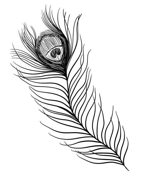 Pluma de pavo real. Ilustración en blanco y negro. Tatuaje — Vector de stock