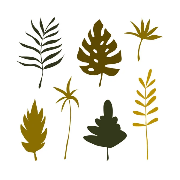 Levelek Növények Gyűjteménye Modern Vektor Illusztráció Fehér Háttér — Stock Vector