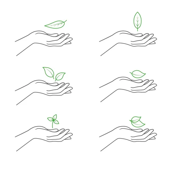 Colección Las Manos Sostienen Hoja Planta Ilustración Vectorial Aislada Sobre — Archivo Imágenes Vectoriales