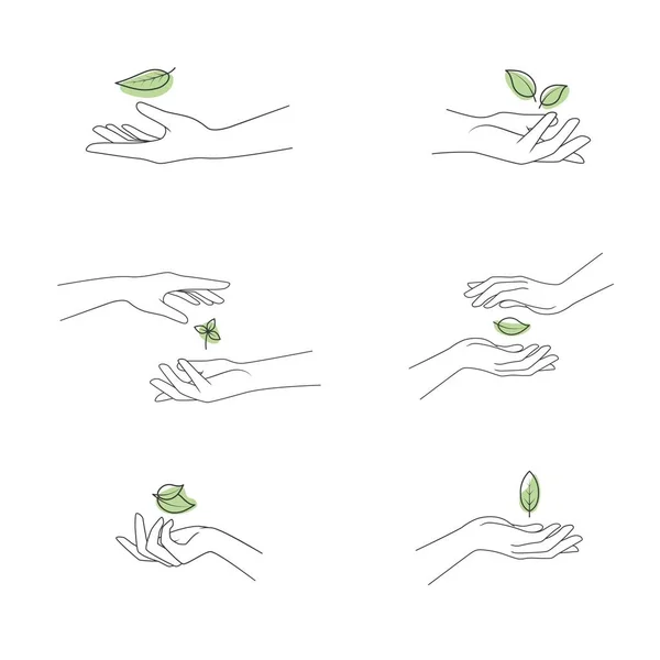 Sammlung Von Händen Halten Ein Blatt Der Pflanze Vektor Illustration — Stockvektor