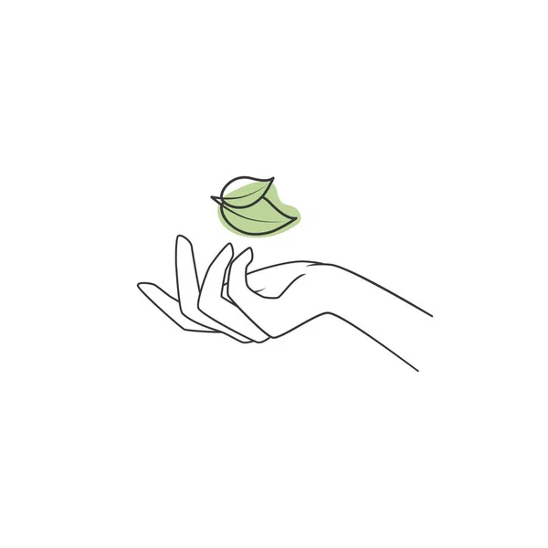 Händerna Håller Ett Löv Växten Vektor Illustration Isolerad Vit Bakgrund — Stock vektor