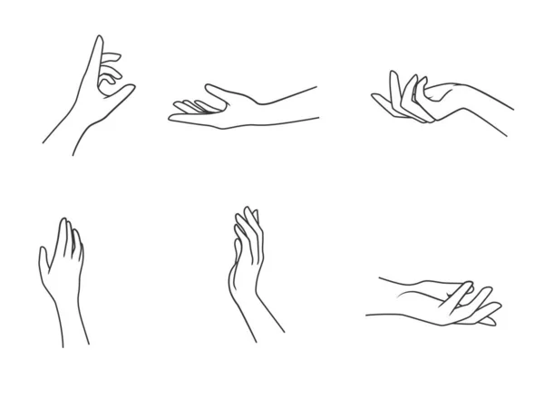 Collection Various Hands Gesture Vector Illustration — Stock Vector