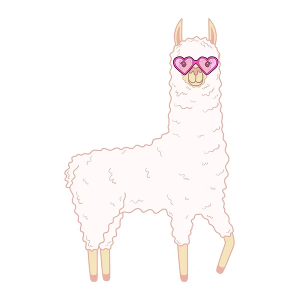 Cute Llama Funny Glasses Vector Illustration Isolated White Background — Stock Vector