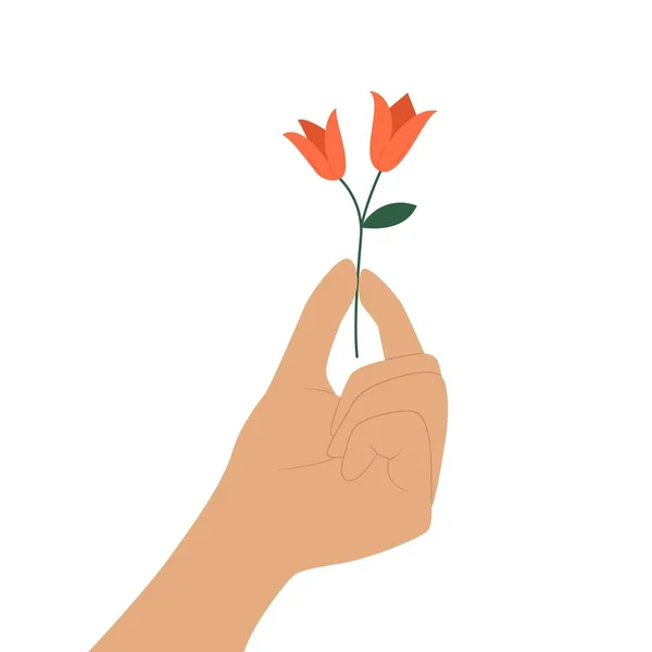 Mão Segura Uma Flor Ilustração Vetorial Plana Isolada Sobre Fundo —  Vetores de Stock