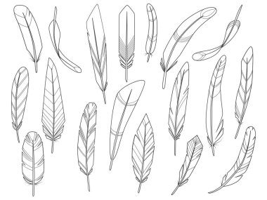 Soyut tüy koleksiyonu. Çizgi film vektör çizimi beyaz arkaplanda izole edildi