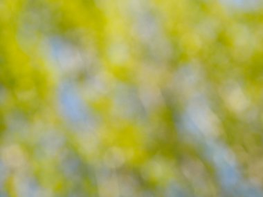 çapraz yönde ile yeşil arka plan bulanık