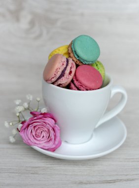 macarons lezzetli ve taze kurabiye