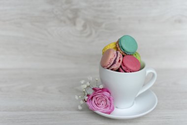 macarons lezzetli ve taze kurabiye