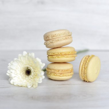macarons lezzetli ve taze kurabiye