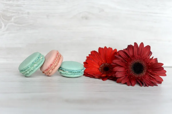 macarons lezzetli ve taze kurabiye