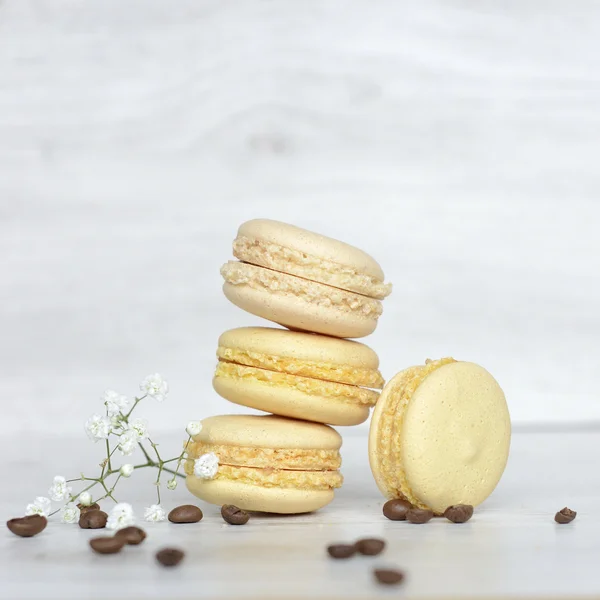 macarons lezzetli ve taze kurabiye