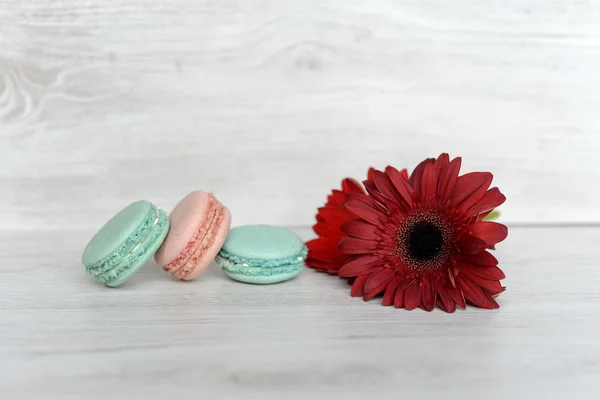 Macarons galletas sabrosas y frescas —  Fotos de Stock