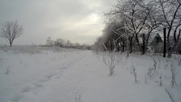 Wintertag im Januar außerhalb der Stadt — Stockvideo