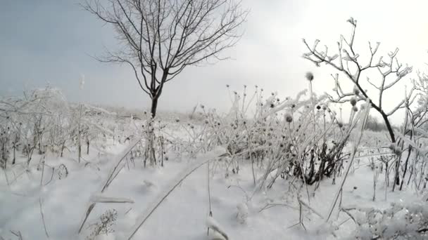 Invierno sobre la ciudad — Vídeos de Stock