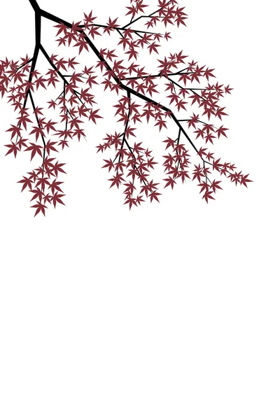 Illustration sonbahar yaprakları — Stok Vektör