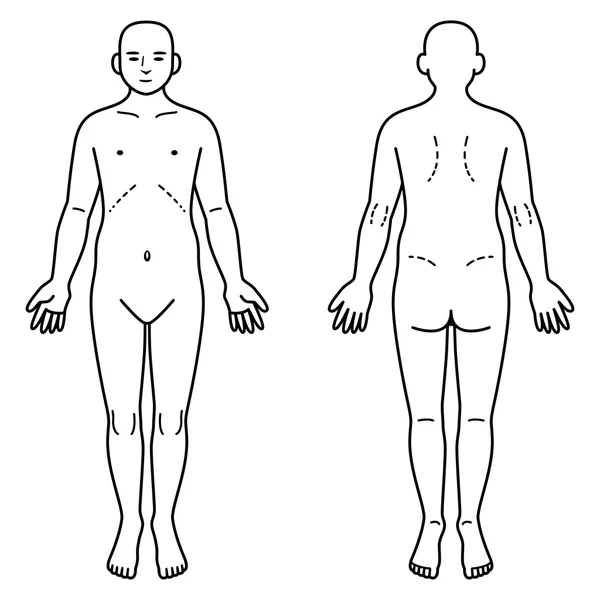 인체 앞면과 뒷면 — 스톡 벡터