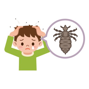 Lice çocuk. Bir çocuğun kafasına bitli illüstrasyon.