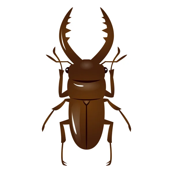 Ilustración de escarabajo ciervo — Vector de stock