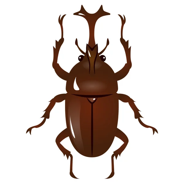 Illustration of Beetle — Stock Vector