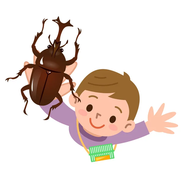 Escarabajos y chico — Archivo Imágenes Vectoriales