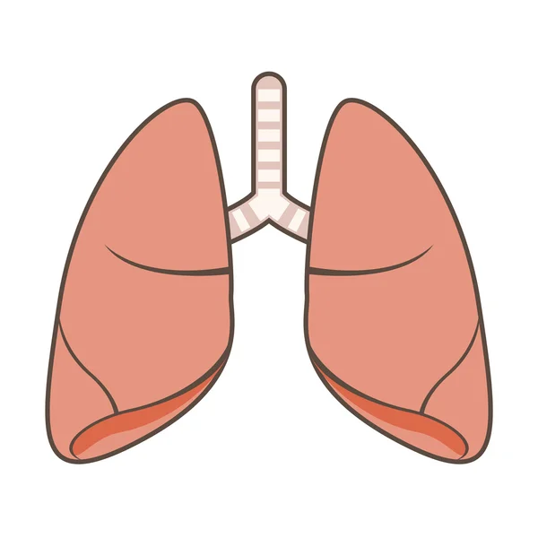 Illustratie van longen — Stockvector