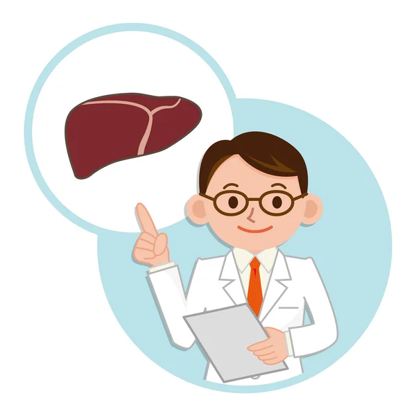 Doctor para una descripción del hígado — Vector de stock