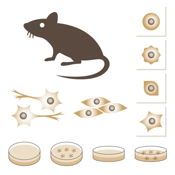 Ilustración del ratón y las células — Vector de stock
