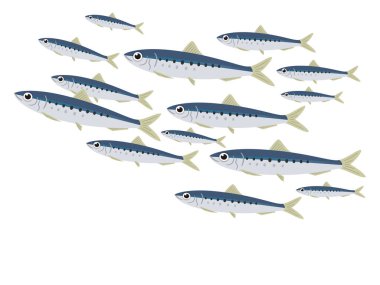 Sardalya sürüsünün resmi.