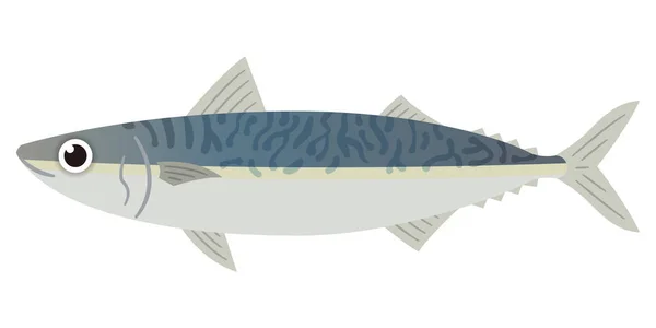 白色背景上简单的鲭鱼图解 — 图库矢量图片