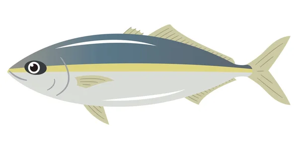Simple Yellowtail Illustration White Background — Stock Vector