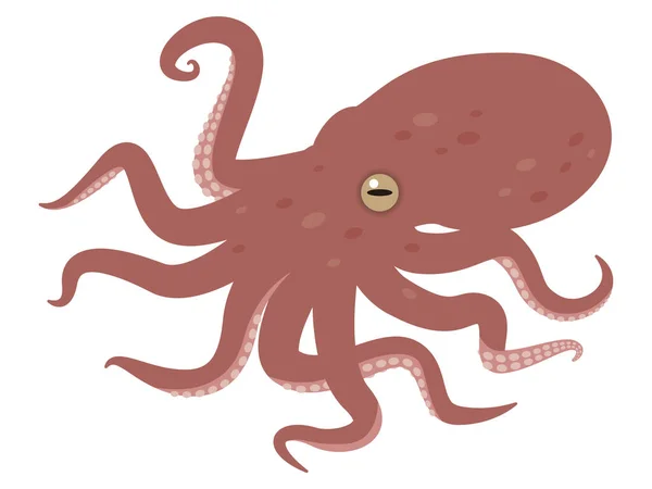 Eenvoudige Octopus Illustratie Witte Achtergrond — Stockvector