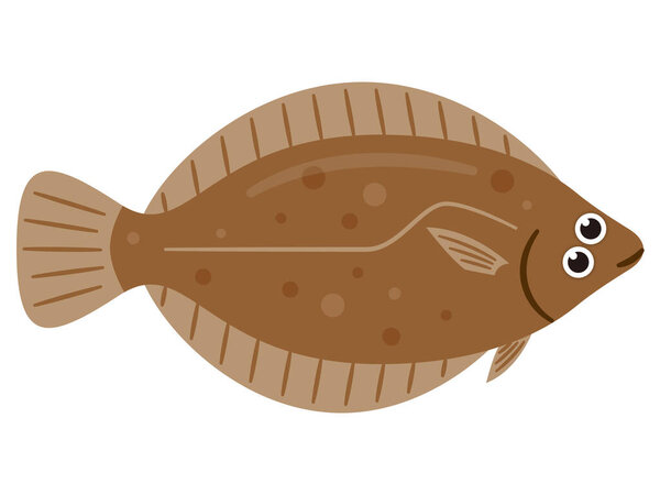 Simple illustration of fresh fish flatfish