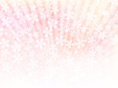 Pembe çiçeklerin arka planı