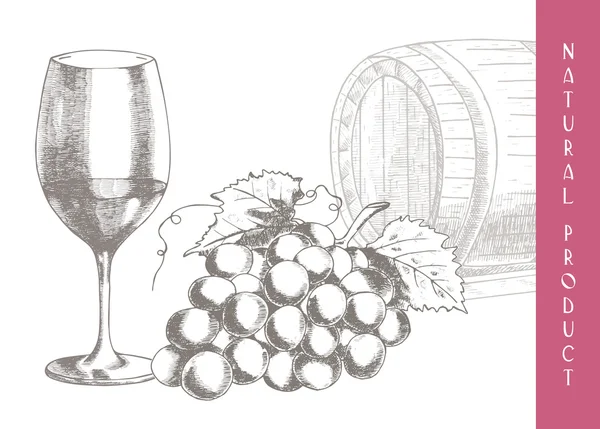 Szőlő és bor — Stock Vector