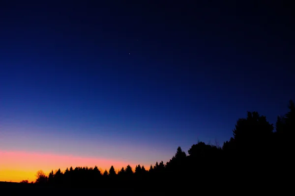 Утренний рассвет в лесу — стоковое фото