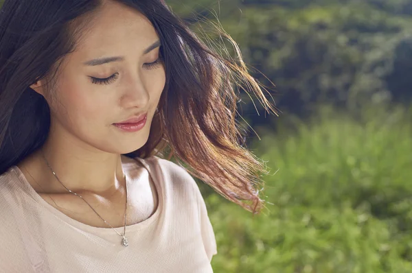 doğada güzellik closeup