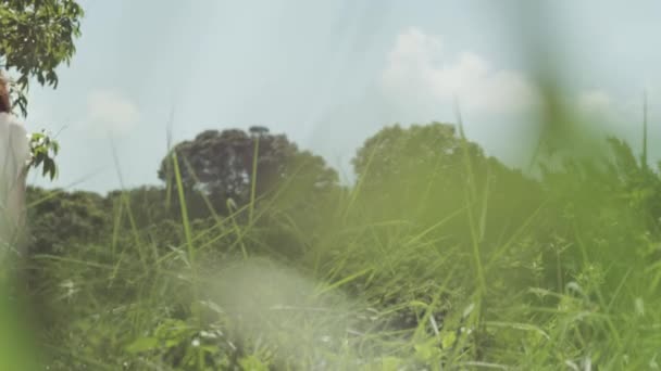 Een schoonheid die dansen in de natuur — Stockvideo