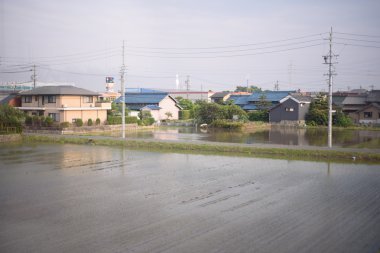 Pirinç puddy Japonya'da köyün ortasında